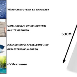 Fotobehang schotse hooglander technische foto