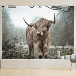 Fotobehang schotse hooglander sfeerfoto