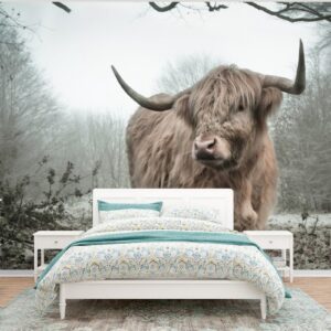 Fotobehang schotse hooglander productfoto