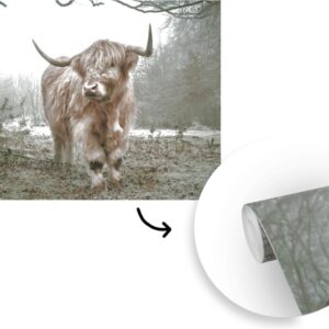 Fotobehang schotse hooglander materiaal