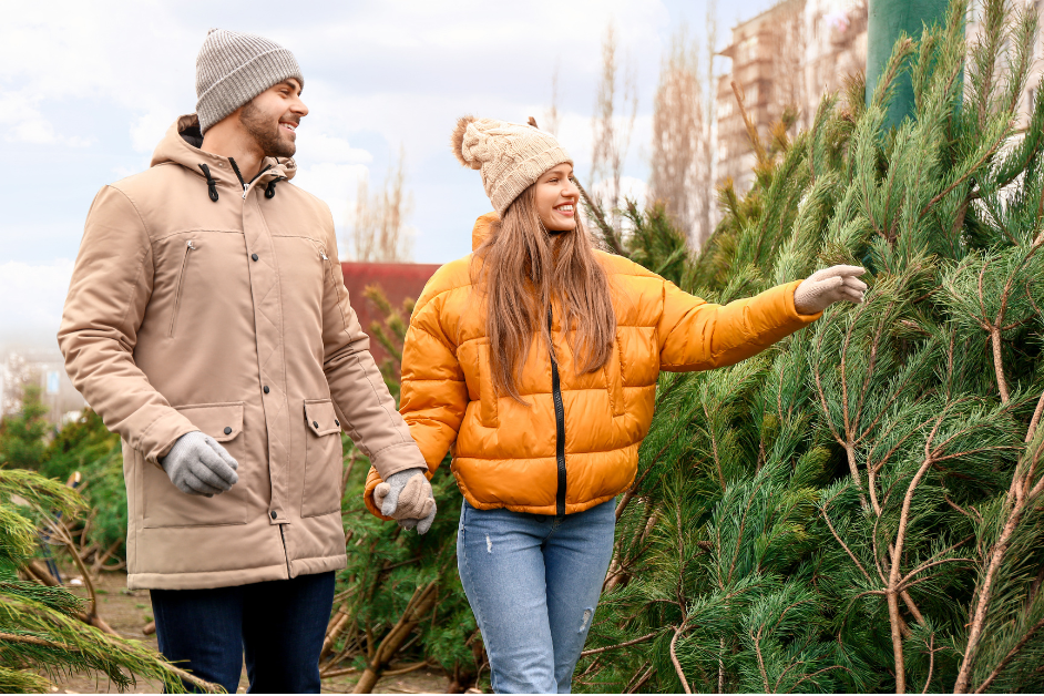 Kerstboom kopen